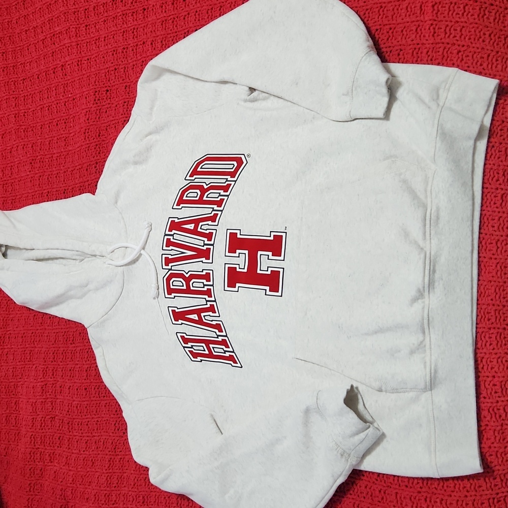 H&M Harvard University Varsity Sports Logo Hooded Sweatshirt medium